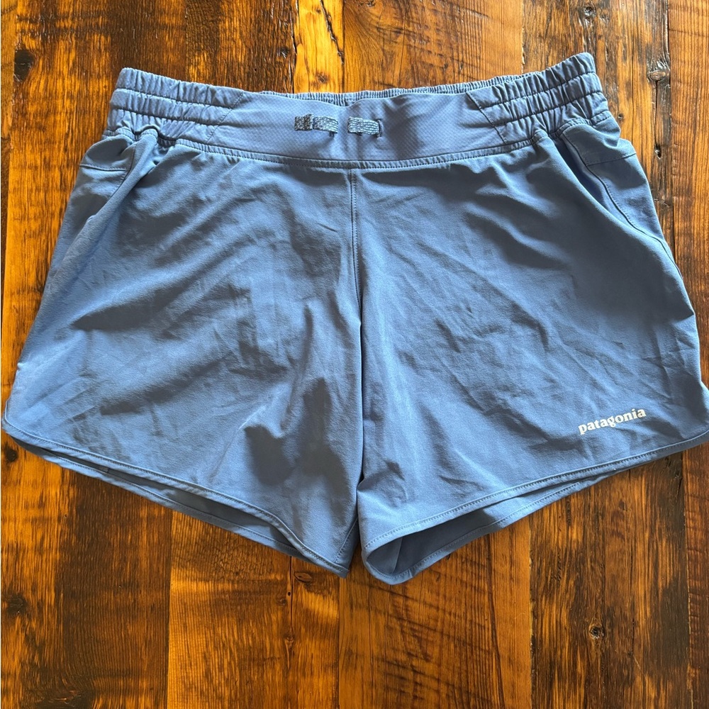 Patagonia Blue Shorts